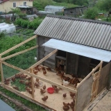 Ljetni kokošinjac: kako izgraditi vlastitim rukama